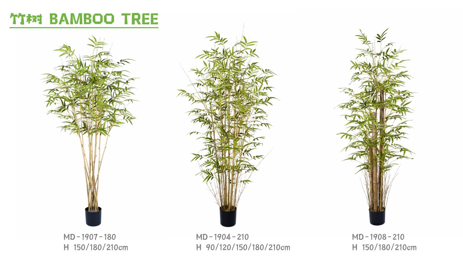 Bamboo Trees
