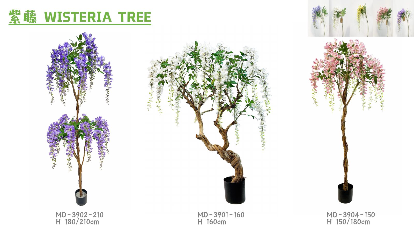 Statement Trees